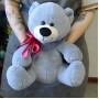 Мягкая игрушка Медведь Мишаня, цвет серый, 32 см